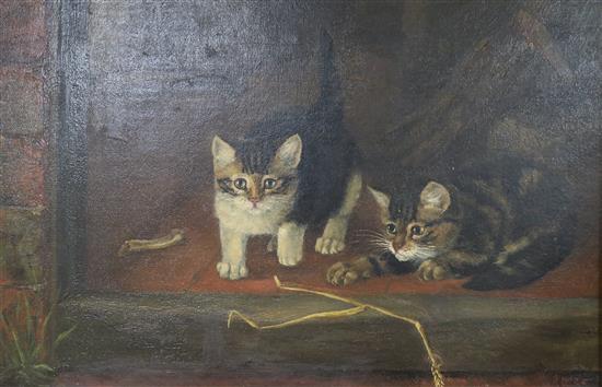 M. Attlee Study of two kittens 11 x 17in.